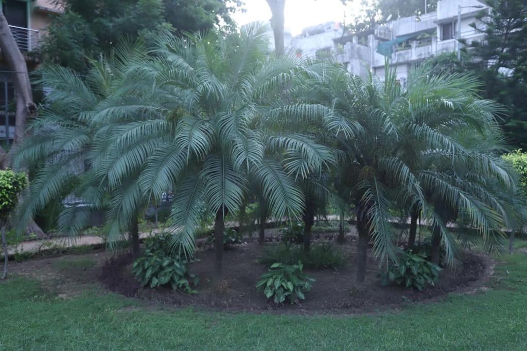 Divine India Service Apartment 3Bhk,B57 Sarita Vihar,Apollo Nueva Delhi Exterior foto