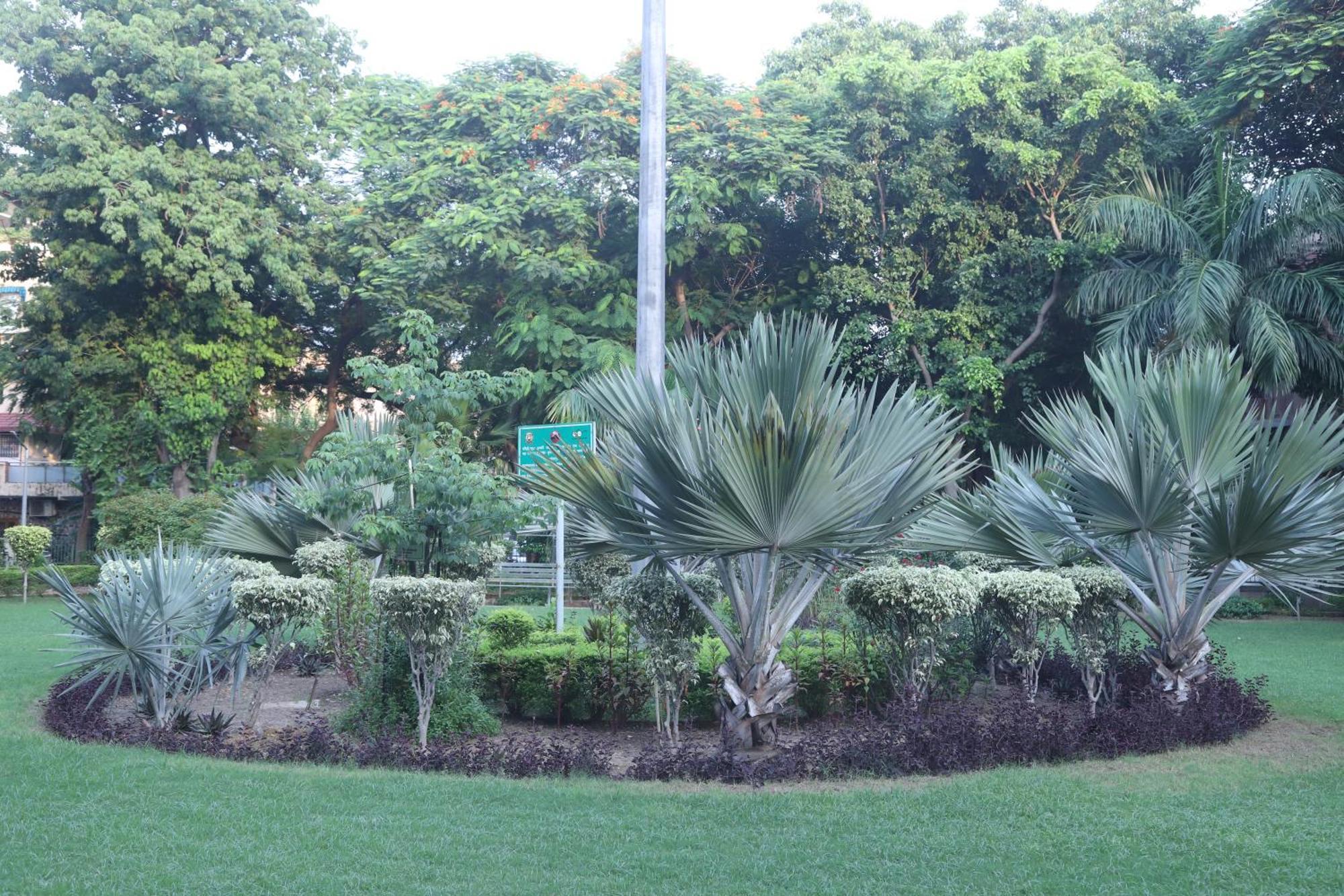 Divine India Service Apartment 3Bhk,B57 Sarita Vihar,Apollo Nueva Delhi Exterior foto