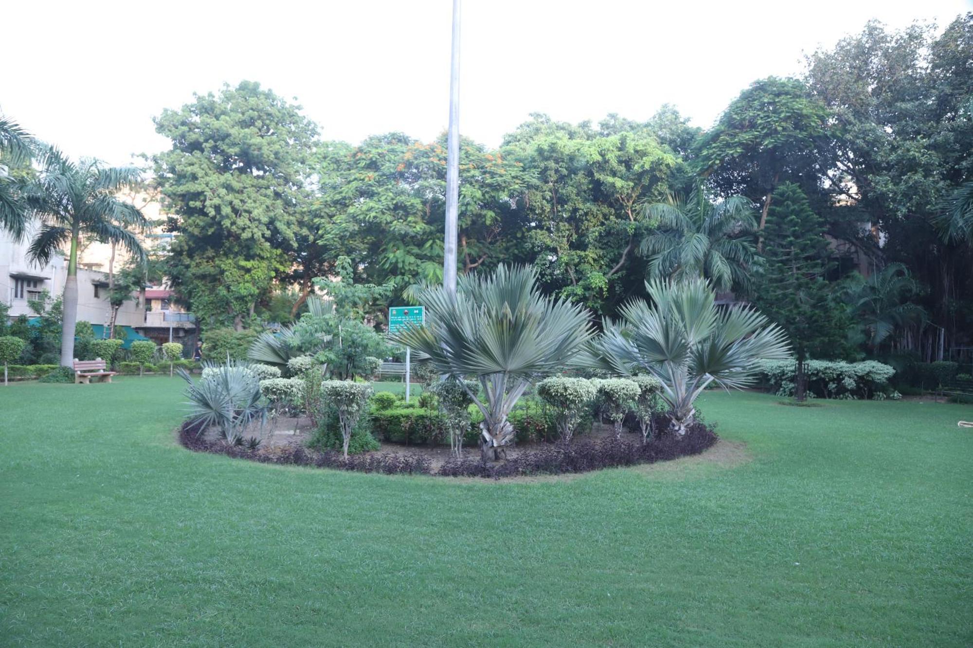 Divine India Service Apartment 3Bhk,B57 Sarita Vihar,Apollo Nueva Delhi Exterior foto